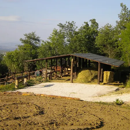 Il Posto Delle More