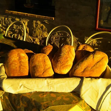 Il Posto Delle More * Poggio Aquilone