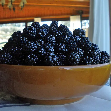 Farm stay Il Posto Delle More *