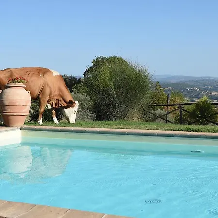 Farm stay Il Posto Delle More
