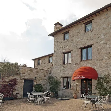 Il Posto Delle More Poggio Aquilone
